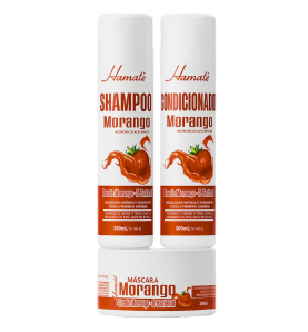 KIT MANUTENÇÃO MORANGO 300ML